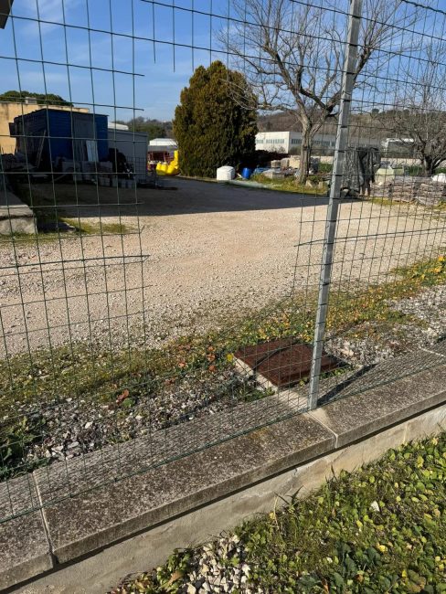 Tentati-furti-via-Rossini-3-488x650