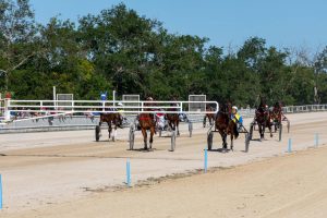 Ippodromo Mori,  stop alle corse per il secondo anno:  «Troppe incertezze nel settore»
