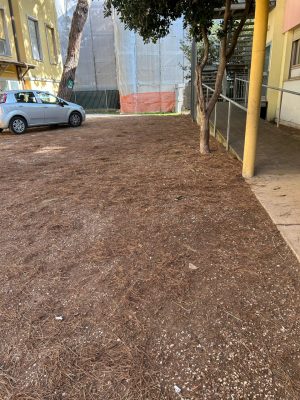 il-cortile-prima