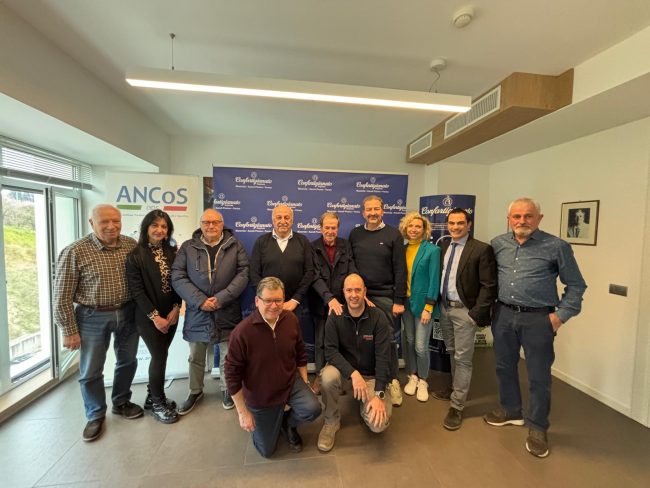 Ancos-3-650x488