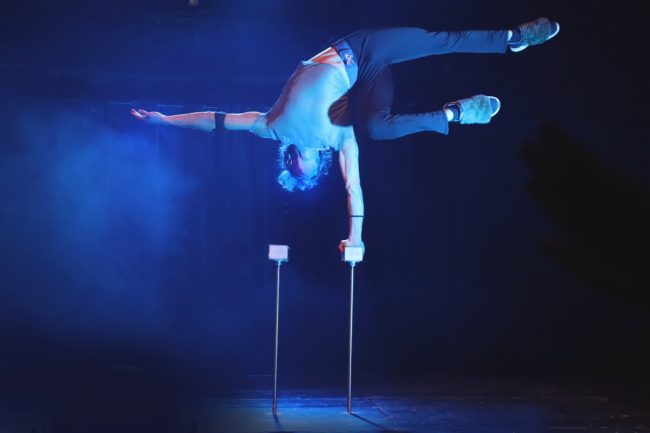 Circo-Madera