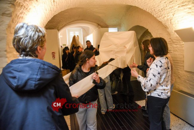 Carrozza-di-carta_Frank-Bolter_FF-12-650x434