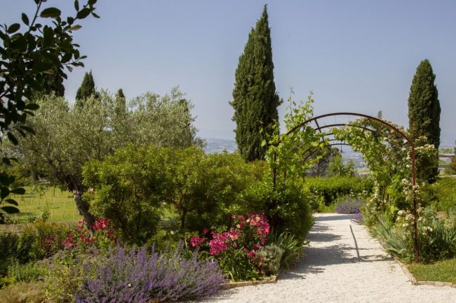Orto-sul-Colle-dellInfinito-Recanati-MC_Foto-Barbara-Verduci_2023__©-FAI-–-Fondo-per-lAmbiente-Italiano-2-650x433