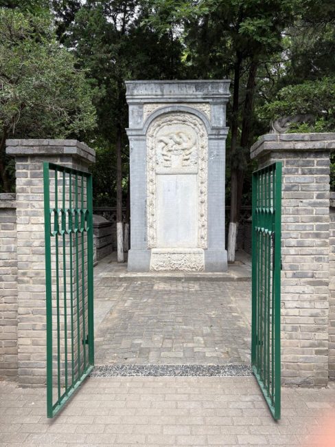 Cina-8--488x650