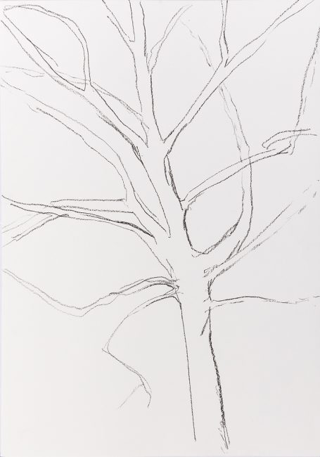 4-Dalla-serie-a48-2019-20.-Carboncino-su-carta-42x297-cm--455x650