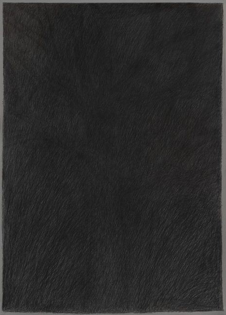 5-a-IV-2025.-Matita-su-carta-140x100-cm--465x650