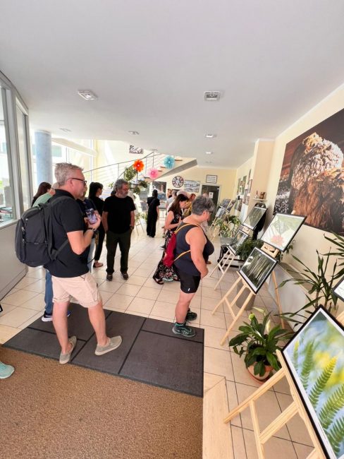 La-mostra-a-Cessapalombo