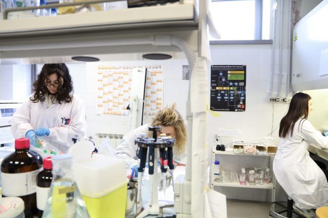 Laboratorio-Unicam