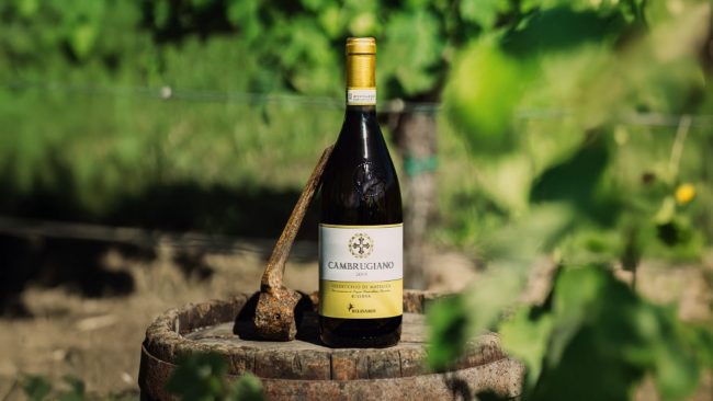 Verdicchio