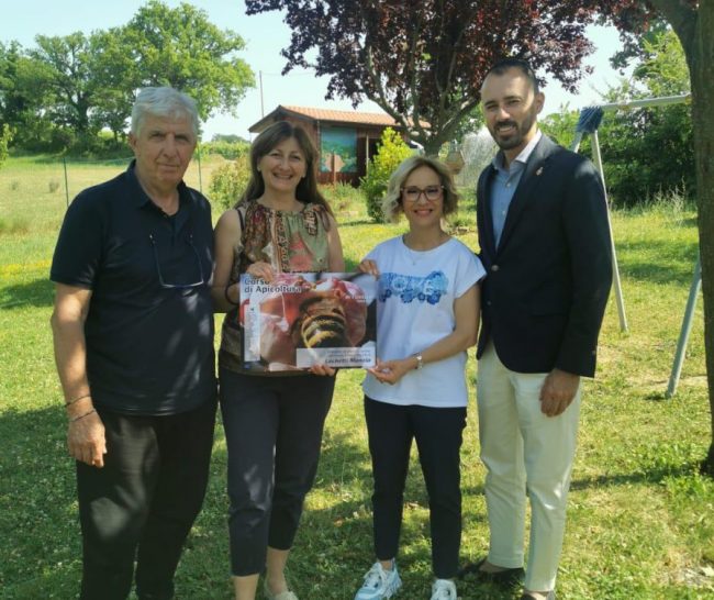 apicoltori-corso-1-e1750594906370-650x546