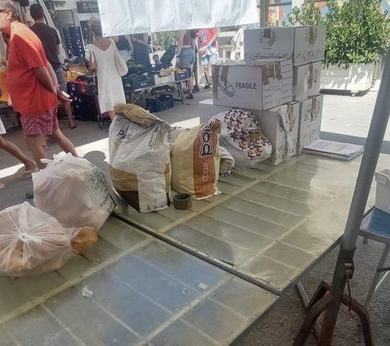 mercato-civitanova-1-e1751127586862