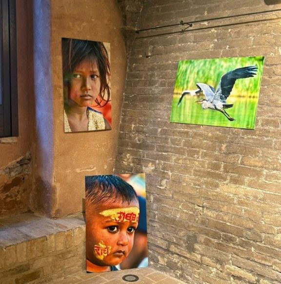 mostra-afam-4-e1751200480108