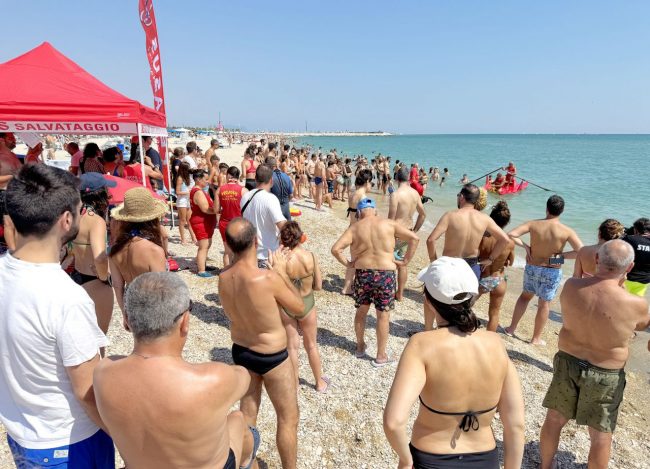 dimostrazione-cani-di-salvataggio-ass-pegasus-spiaggia-lungomare-sud-civitanova-FDM-10-650x469