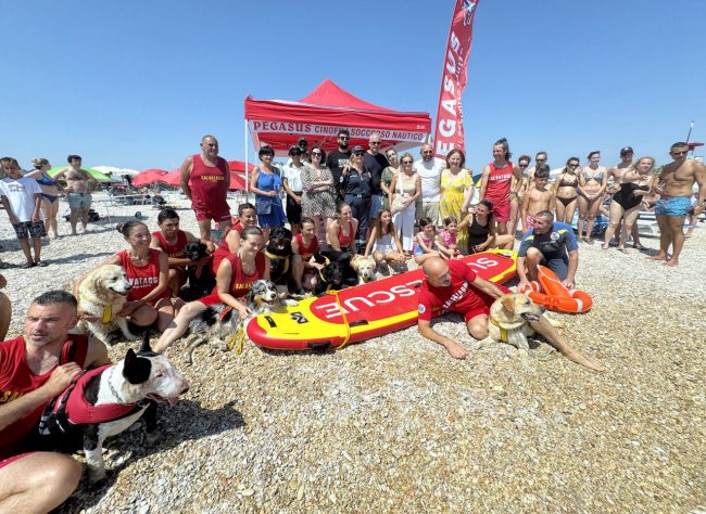 dimostrazione-cani-di-salvataggio-ass-pegasus-spiaggia-lungomare-sud-civitanova-FDM-11-650x474
