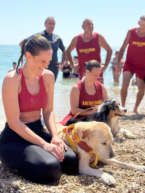 dimostrazione-cani-di-salvataggio-ass-pegasus-spiaggia-lungomare-sud-civitanova-FDM-12-488x650