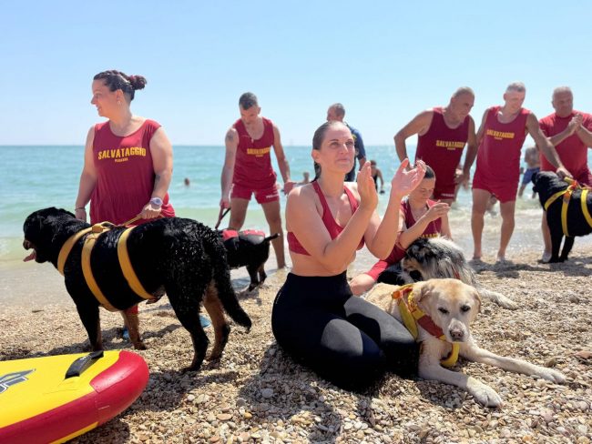 dimostrazione-cani-di-salvataggio-ass-pegasus-spiaggia-lungomare-sud-civitanova-FDM-13-650x488
