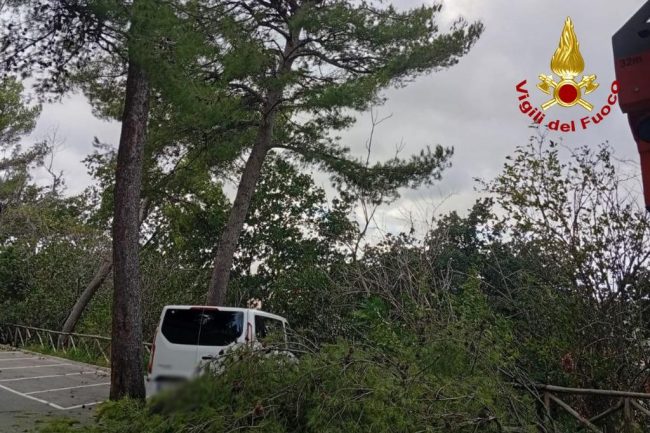 vigili-del-fuoco-maltempo-2-650x433