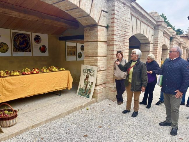 mostra-pomologica-2-650x488
