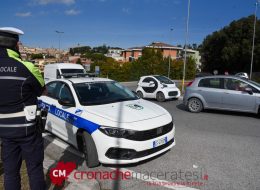 Un capriolo investito in via Mattei