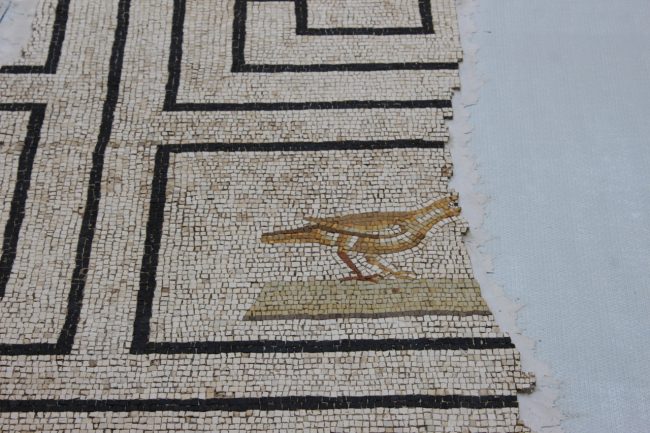 mosaici-romani-matelica-7-650x433