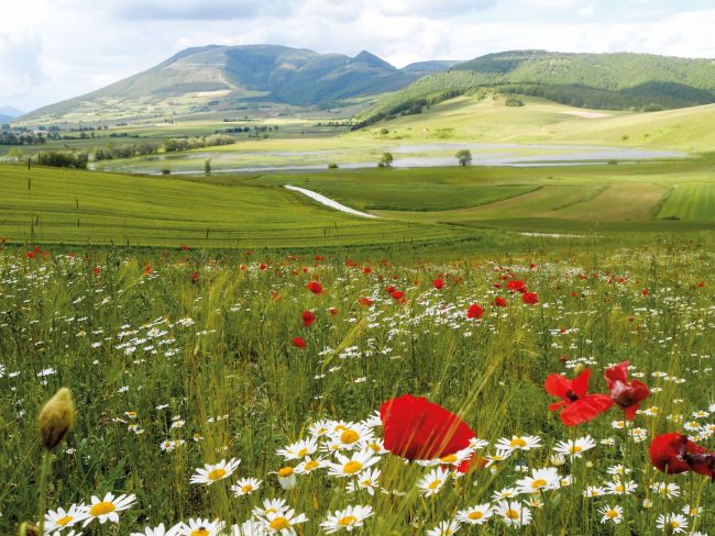 Colfiorito (foto di Federica Santoni, da 'Il ragazzo e l'altopiano', Ilari editore)