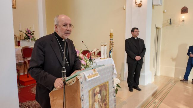 Divina-Patora-18-650x366