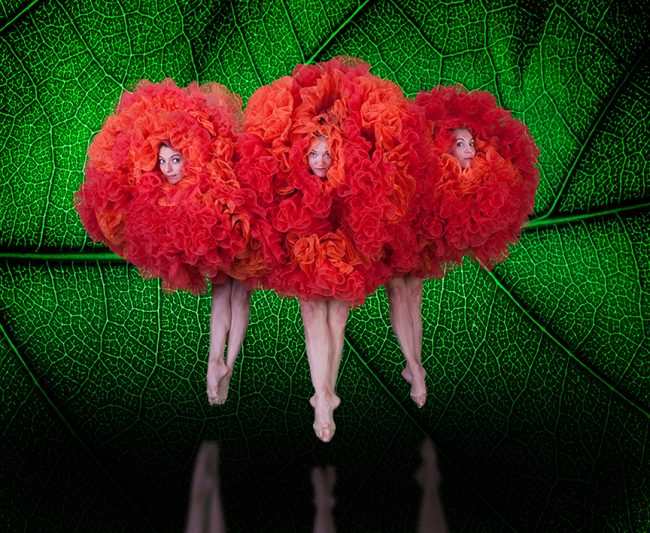 MOMIX_John-Kane