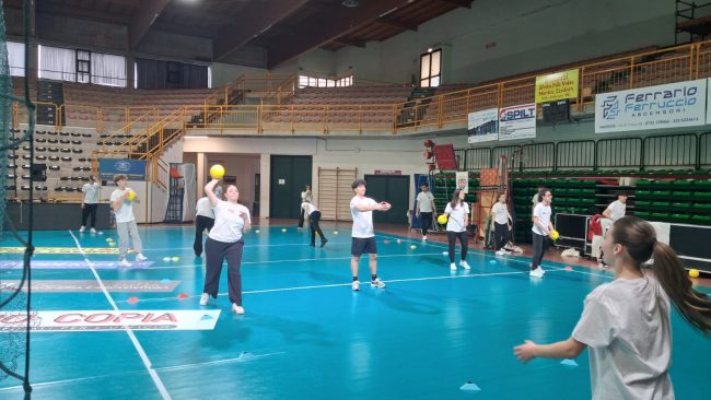 admo-league-4-650x366