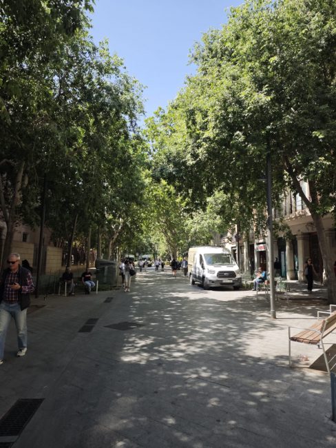 carrer-de-consel-barcellona