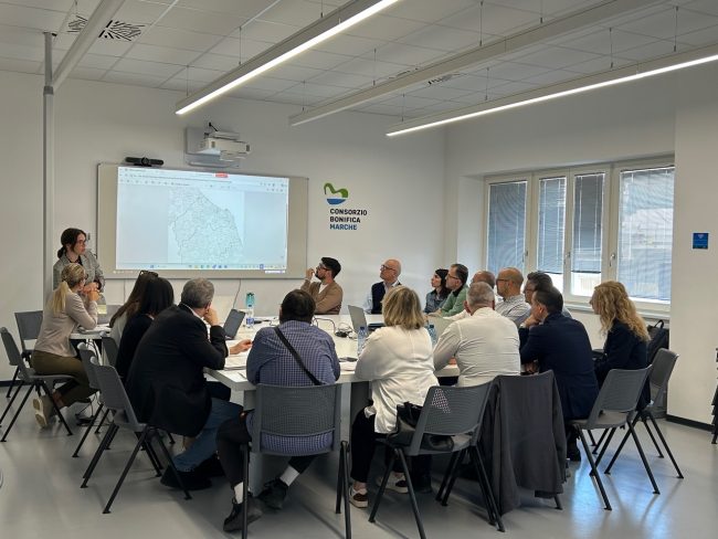 consoli-consorzio-di-bonifica-2-650x488