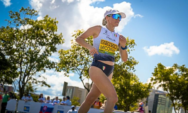 giulia-miconi4-650x393