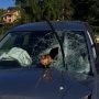 Esce di strada con l’auto  e finisce contro una staccionata:  una 70enne in ospedale