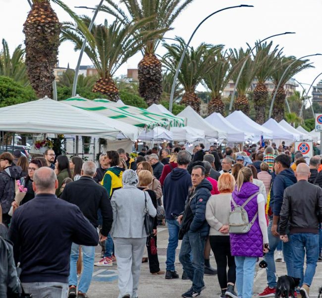 minfiore-e1776849581620-650x602