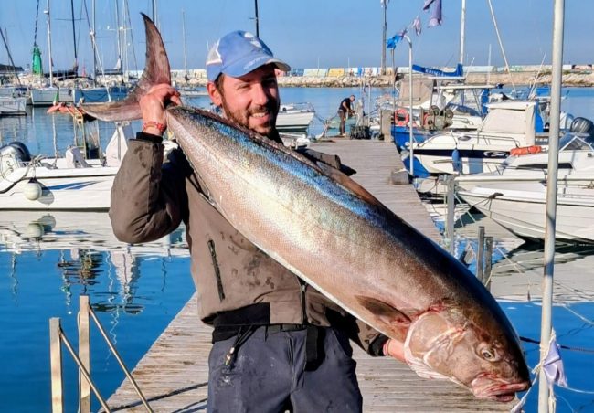 ricciola-28-chili-1-650x452