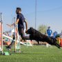 Andrea Buongarzoni ci riprova:  sarà agli Europei e ai Mondiali  di Agility Dog con la fedele Brigitte