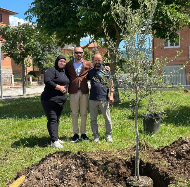 Beljdi-Seferi-alberi-matelica-6-1-650x640
