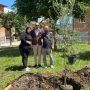 Sei alberi per ricordare Beljdi Seferi