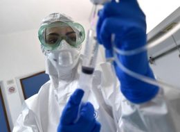 Hantavirus, le Marche alzano la guardia:  «No emergenze, ma protocolli pronti»