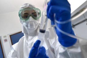 Hantavirus, le Marche alzano la guardia:  «No emergenze, ma protocolli pronti»