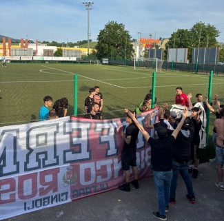 Cingolana-