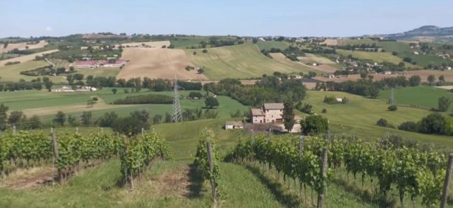 Montefano-1-650x299