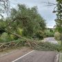 Forti raffiche di vento:  grosso ramo crolla sulla ciclabile