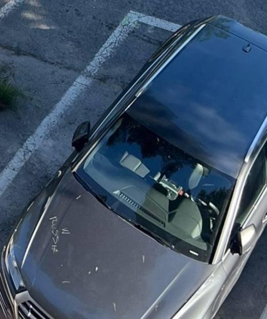 auto danneggiata (6)