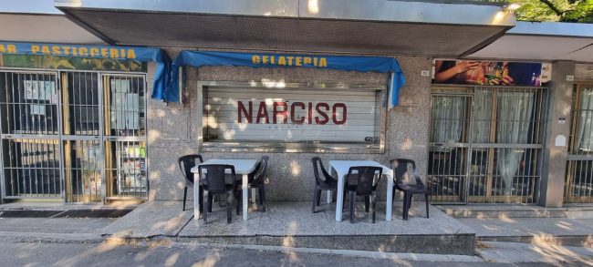 bar-narciso
