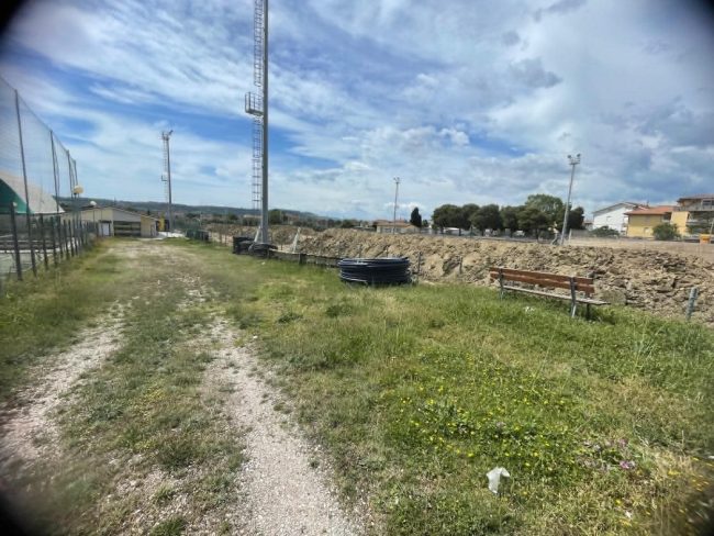 campo-SMa1-650x488