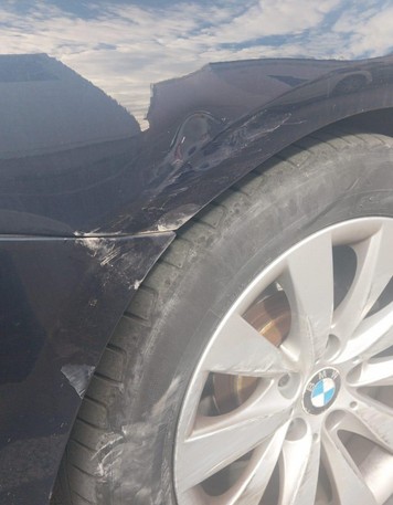 danni2