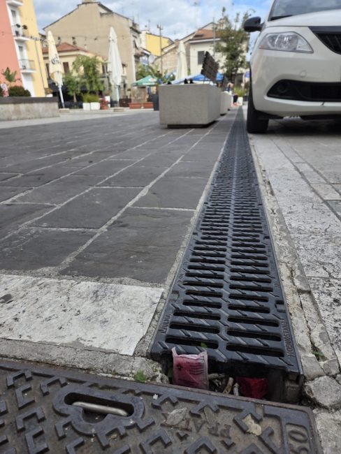 derattizzazione (2)