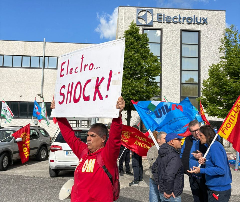 electrolux (7)