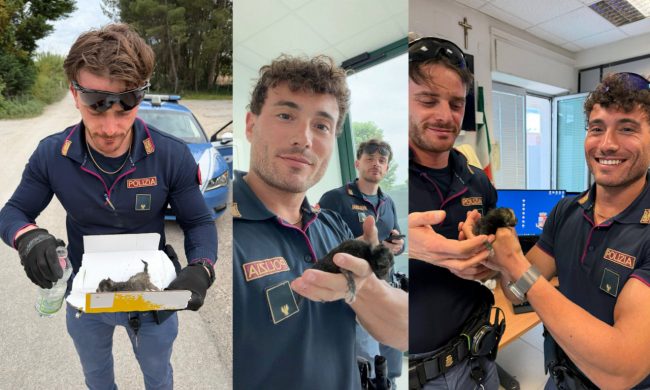 gattino-polizia