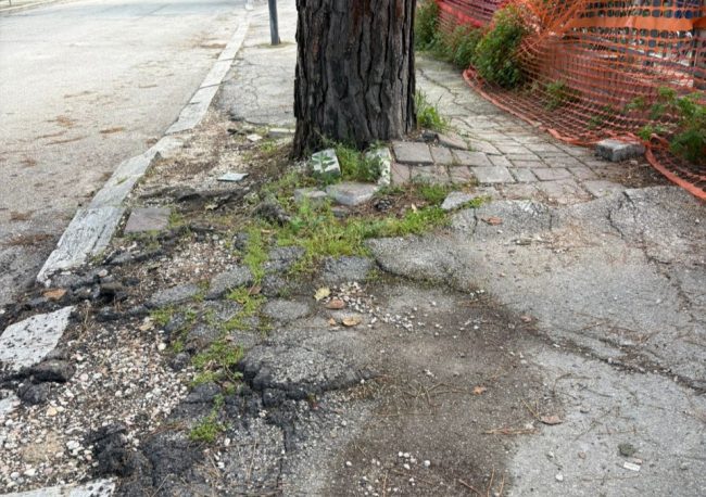 marciapiedi-viale-indipendenza-2-1-650x458